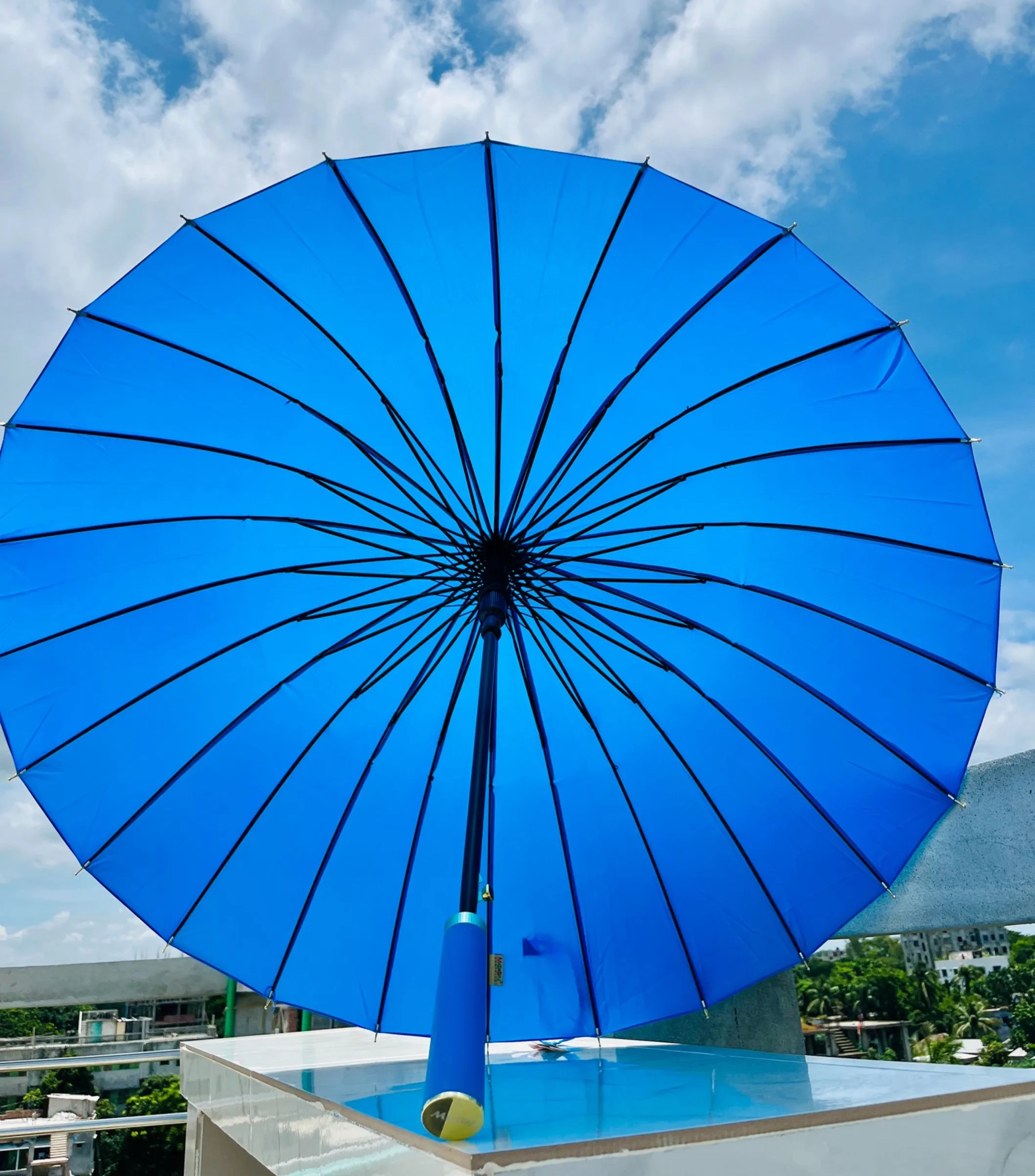 Umbrella